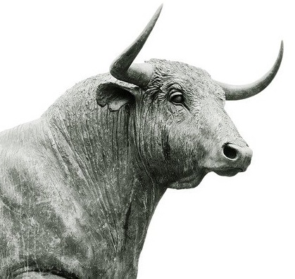Monochrome head of bull looking right.