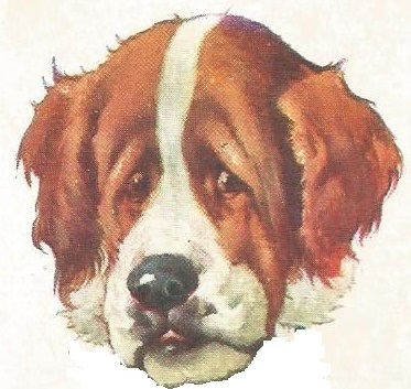 Brown and white dog's head from old children's game card