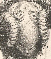 Stylised ram's head
