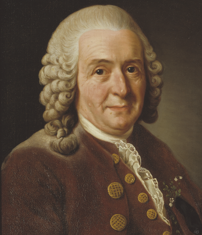 Hed and shoulders portrit of Carl Linnaeus