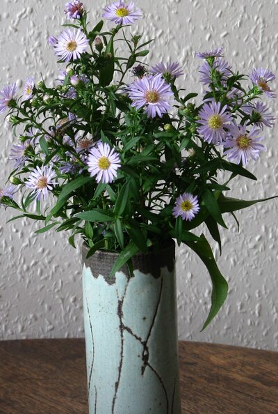 Michaelmas daisies in vase