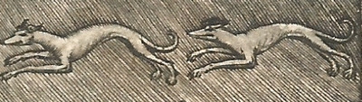 Two geyhounds running right to left one bind the other. Copper-engraving