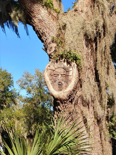 Face carved in tree trunk