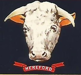 GRaohic red and whitefrontal image of Hereford bull's head