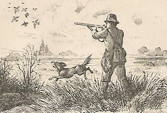 European shooter facing left firing at birds