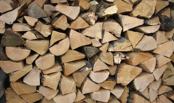 Ends of logs closely packed together