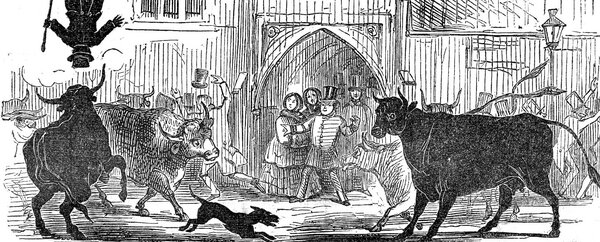 Cattle frightening people outside London church 1849 