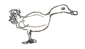 Caricature ine drawing of duck facing right