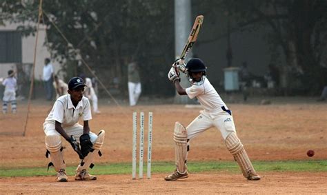 Wicketkeeper,  stumps, batter and cricket ball.