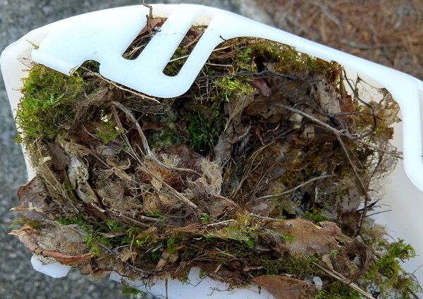 Moss and debris in a white gutter