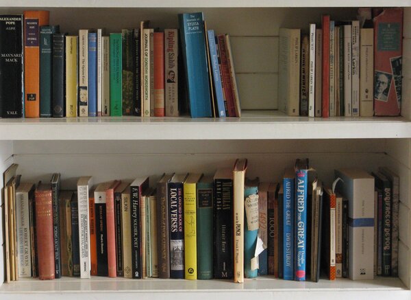 Books on shelves in bookcase