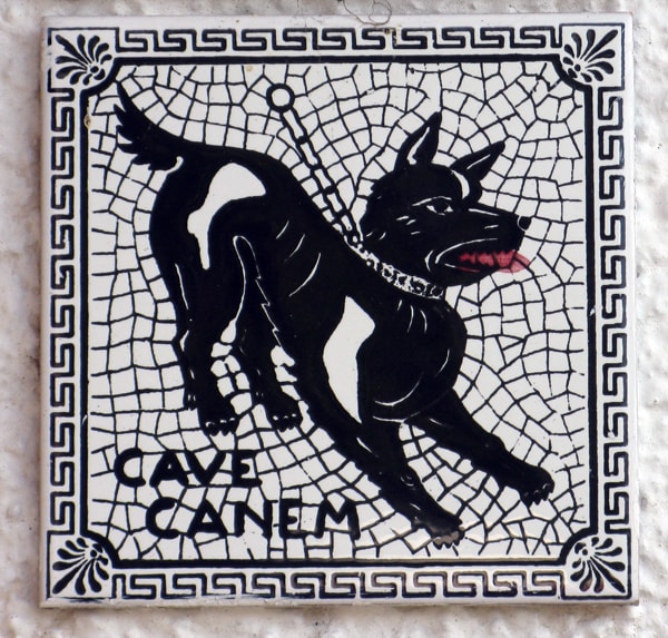 Chained dog as in Pompeian mosaic Cave Canem