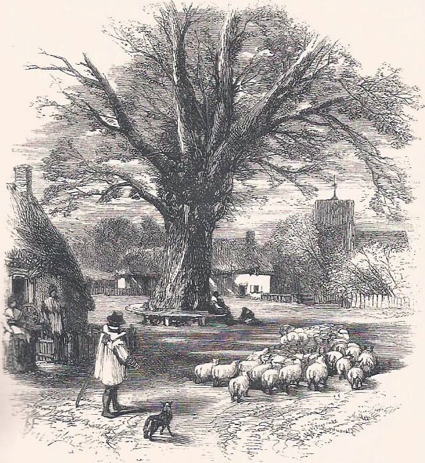 Cottages, sheep, village green, church. Steel-engraving 1858