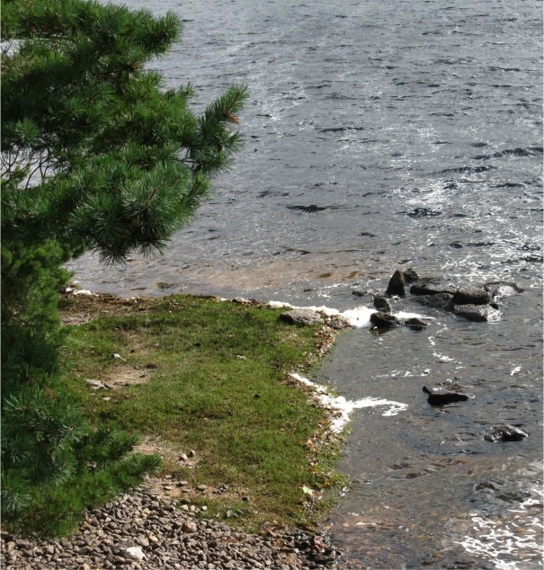 Stony area on edge of reservoir
