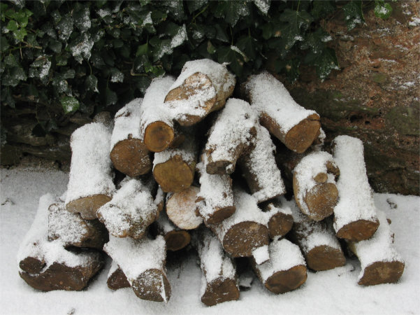 Log pile with light snow cover