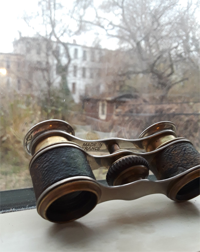 Opera glasses on window sill overlooking garden