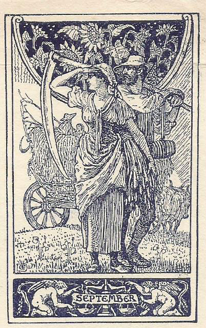 Man and woman harvesting in September